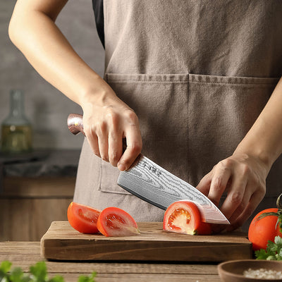 HEZHEN X02M- 8.5" Chef knife