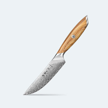 HEZHEN X01 - 5" Steak knife